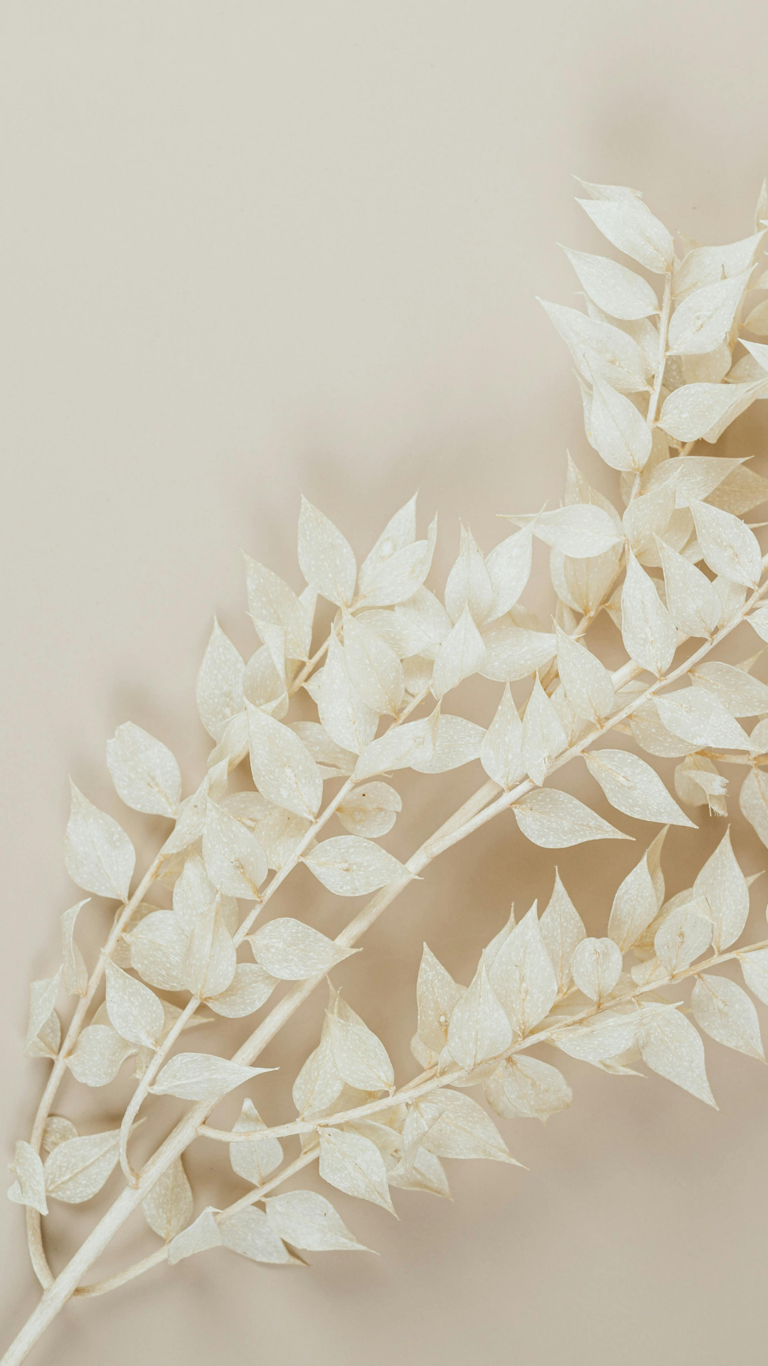 Seeleninsel - deine Energetische Praxis