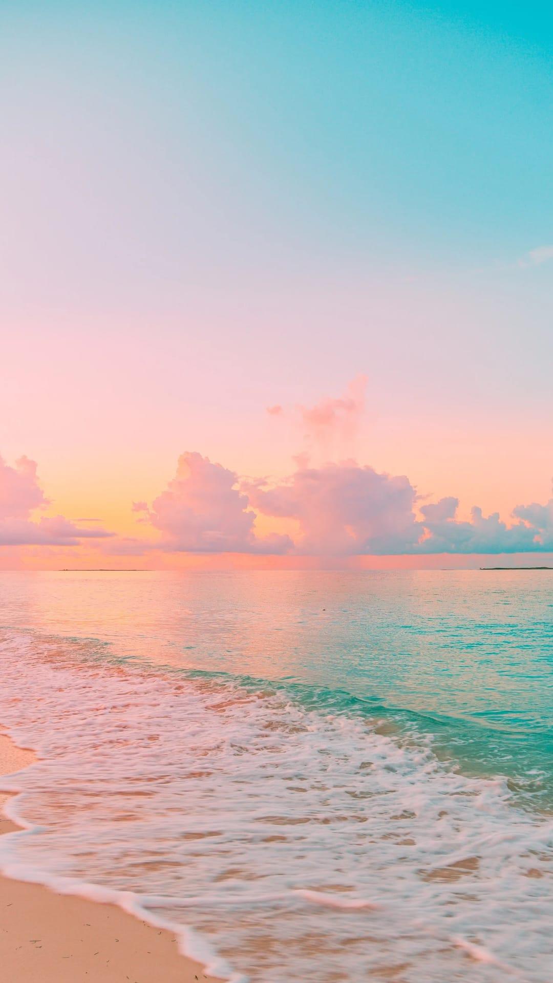 💛Janine Hubatsch 💛